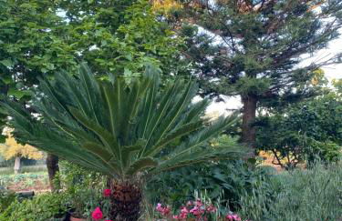 La dimora nonna Eugy - Foto 6