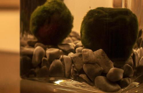 Casa di Leo - Photo 12