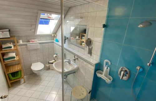 FERIENHOF KATZENMAIER, Bauernhof- und Familienurlaub am BODENSEE, großzügig wohnen, MESSENAH und teils BARRIEREFREI, Spielangebot für drinnen und draußen, Parkplatz am Haus, gute ÖPNV-Anbindung - Foto 21