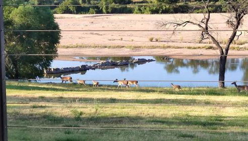 Amazing Glamping Vacations in this Riverside Cottage in Llano, Texas - Foto 2
