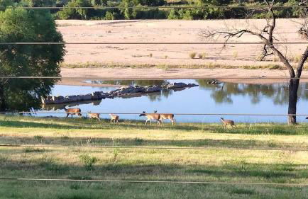 Amazing Glamping Vacations in this Riverside Cottage in Llano, Texas - Foto 2