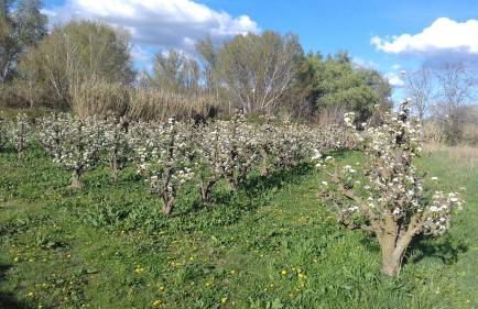 Hospital del Temple Casa Rural - Foto 31