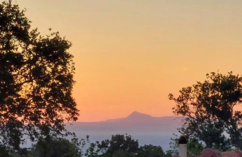 Casa di Robola - Foto 22