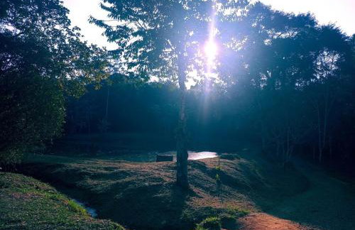 Casa de campos são Francisco Xavier Xavier - Foto 34