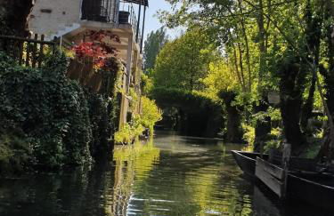 La chaume du marais poitevin avec barque green venice with boat - Foto 25