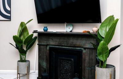 Top 1 Rated 4BR Lincoln Park House - King Bed - Photo 13