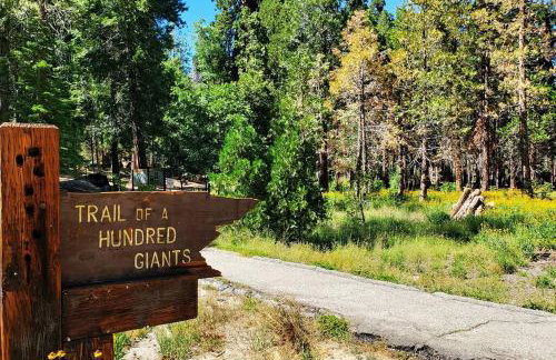 Redwood Retreat, Mountains, Adventure and Nature - Foto 31