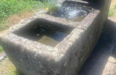 Gîte de la Couze pavin - Photo 28