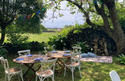 Time to Travel to Terceira - Photo 2