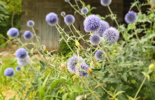 Gîte charmant avec terrasse et wifi au Puy-en-Velay - FR-1-582-331 - Foto 12