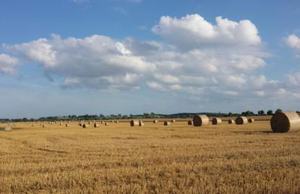 Gemütliche Ferienwohnung unterm Reetdach - Foto 30