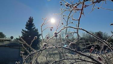 Spreewaldhaus Raddusch, Boote- Fahrräder gratis - Foto 5