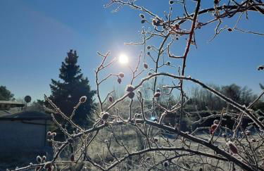 Spreewaldhaus Raddusch, Boote- Fahrräder gratis - Foto 5