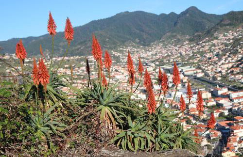 Spot Matur Apartment - Foto 32