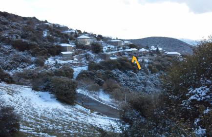 The Artist's House - Photo 43