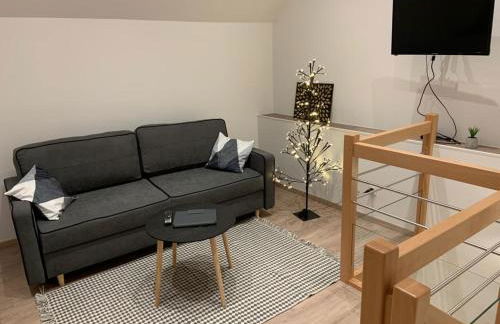 Gîte mon rêve à Scherwiller avec SPA sur la route des vins au coeur de l'alsace - Foto 31