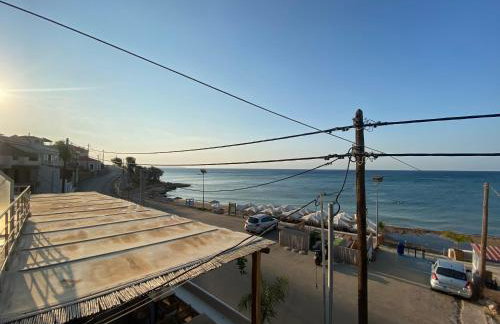 Terry Studio - Foto 59