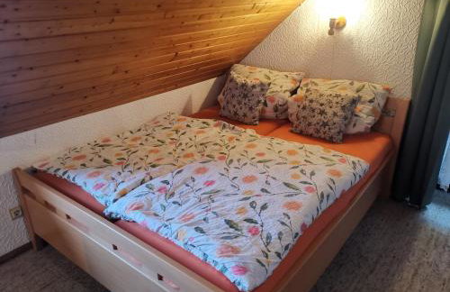 Ferienwohnungen Kremser bei Spiegelau Eppenschlag - Foto 33