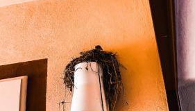 La Mandorla Salata - Foto 3