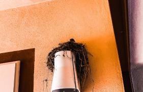 La Mandorla Salata - Foto 3