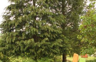 Apartments Strmac - Foto 58