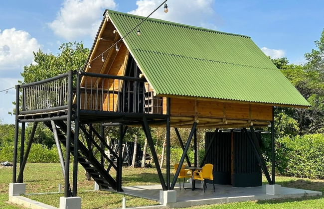 Ecohotel el Obelisco - Foto 15