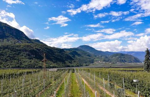 Gisshübelhof - Foto 15