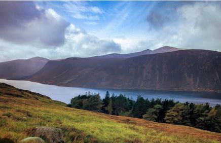 Pannanich View Cottage, Ballater - Foto 10