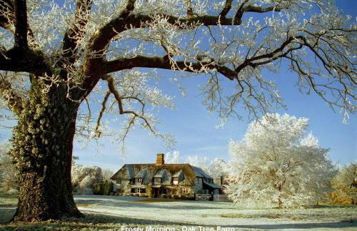 The White Barn near Cambridge - Foto 14