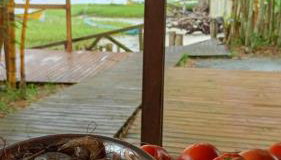 Piaça House - Piaçaguera -Pr - Foto 4