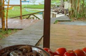 Piaça House - Piaçaguera -Pr - Foto 4