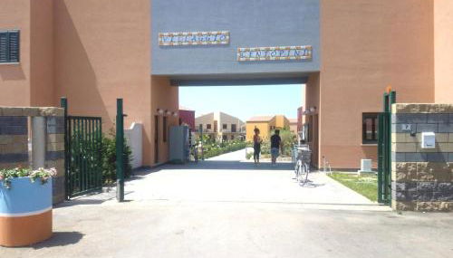 Stella marina - Foto 2