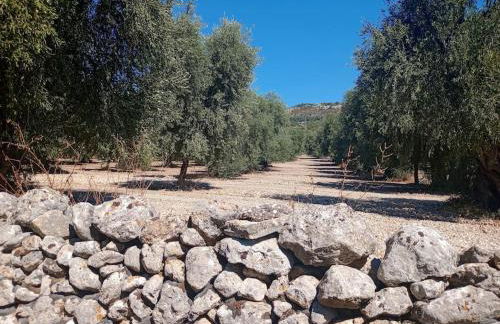 Casetta nel centro storico - Foto 29