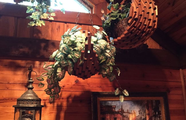 Cherokee mountain log cabin resort - Foto 6