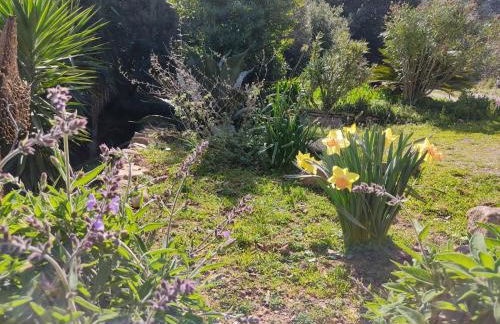 Appartamento nel parco - Foto 56