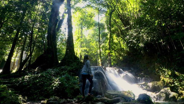 Randonnée dans la jungle