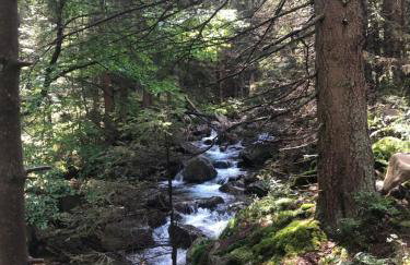 Bryziówka - Foto 46