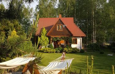 Siedlisko Gruszki Puszcza Białowieska - Foto 1