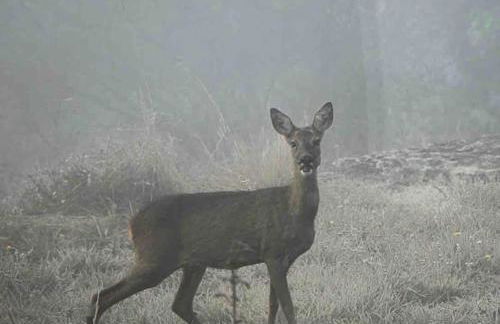 Les Trigones du Causse -Maison atypique avec Piscine Privée - Foto 18