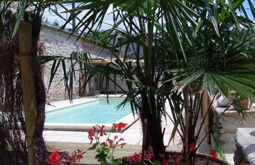 L'Olivier Chez Mamé Marthe - Foto 6