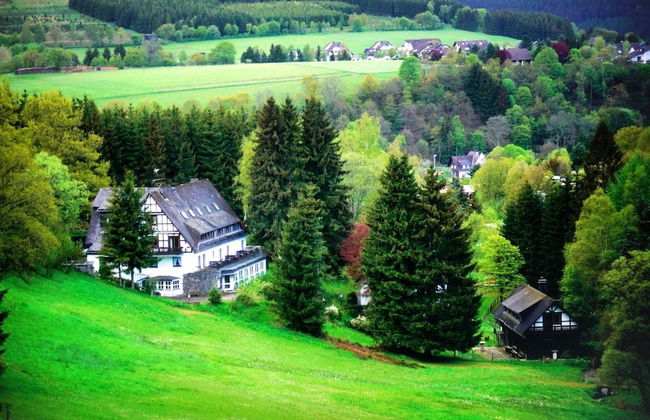 Exclusive Group House in Winterberg in the Forest - Photo 54