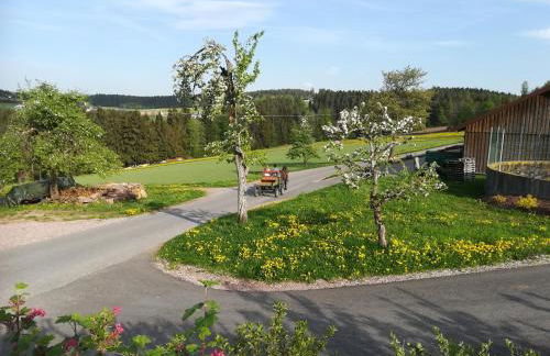 Tischneck Chalets - TraumFerienhäuser im Schwarzwald - Chalets Riva & Limone - Foto 21