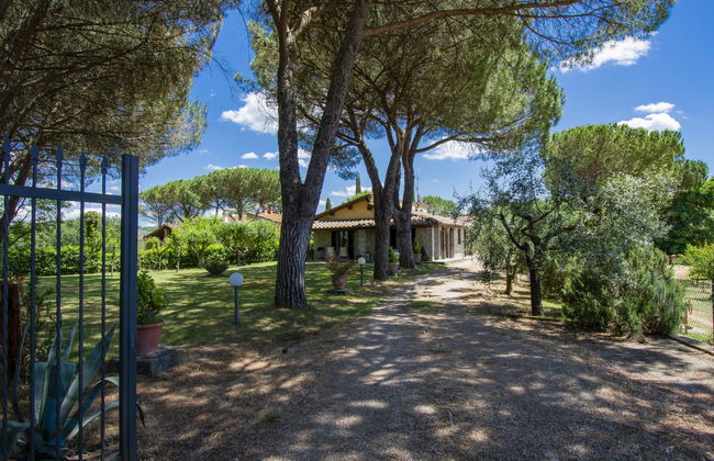 Cedri Alti - Foto 29