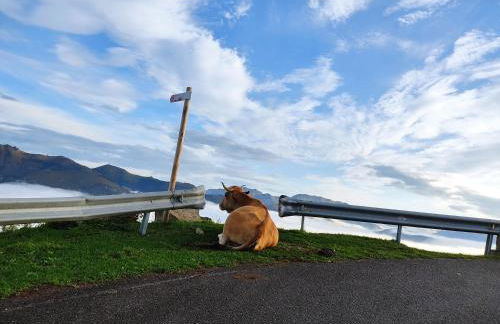 Ñeros de Següencu - Foto 73
