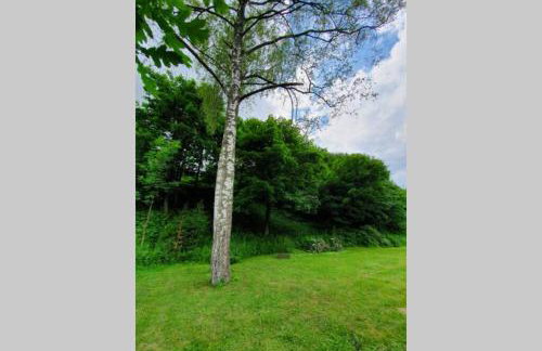 Bieszczadzki Zakątek - Foto 15