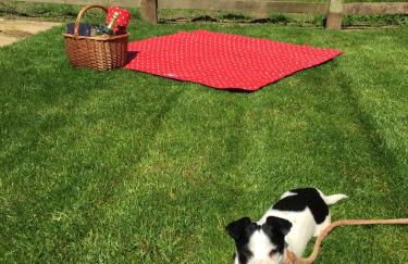 Rew Farm Country & Equestrian Accommodation - Sunrise Lodge - Foto 60