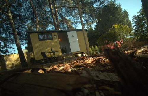 Forest Heath Shepherd's Huts - Foto 23