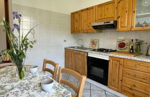 Apartment Asplanato - DOL163 by Interhome - Foto 15