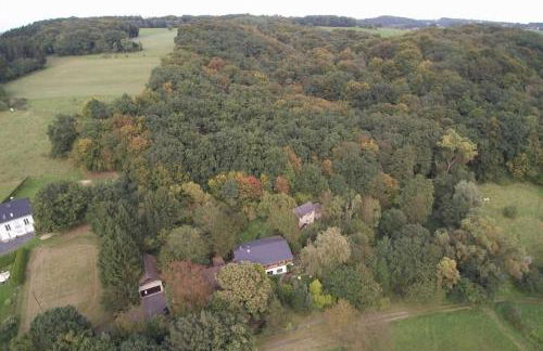 Haus im Hanfbachtal - Foto 8