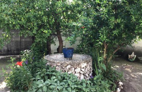 john actors home - Foto 26